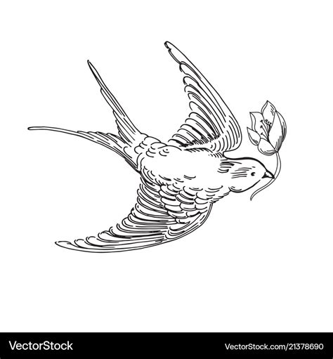 Bird Soaring Drawing