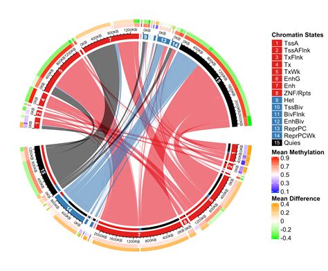 First Extended Service Corporation: Providing Unparalleled Protection ...