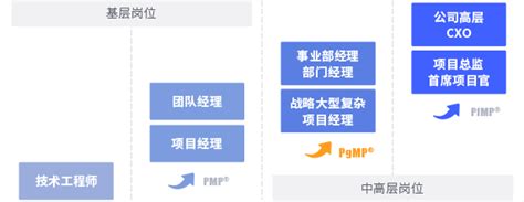 PgMP Process 的图像结果