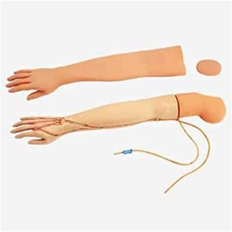 Image result for IV Training Arm Model