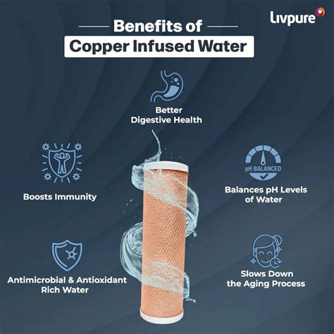 LIVPURE STEALTH 7 L RO + UV + Copper Water Purifier Under the Sink ...