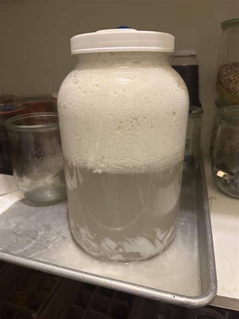 Does Freezing Kill Kefir: Is It Still Good After