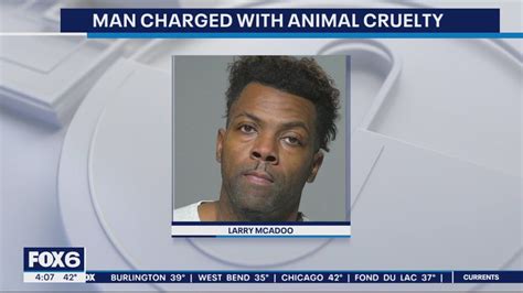 Animals seized from Milwaukee home, man charged after 100+ found | FOX6 ...