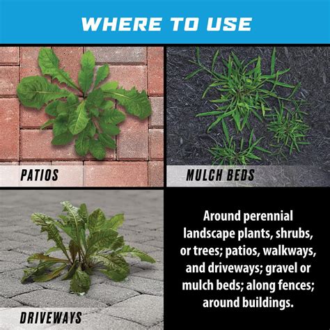 Ortho GroundClear Weed & Grass Killer Super Concentrate1, Refill Pouch ...