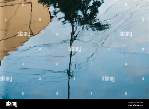 Image result for Abstract Reflection