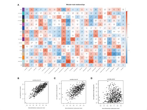 Image result for Module Co Imaging
