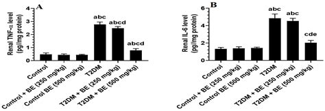 Nephroprotective and Anti-Diabetic Potential of Beta vulgaris L. Root ...