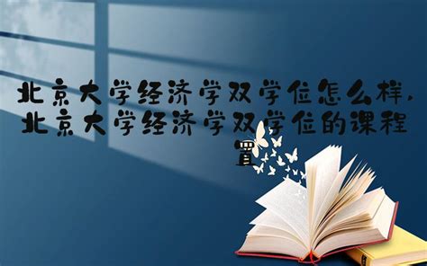 北京大学国家发展研究院经济学双学位Word模板下载_编号qwdmdojv_熊猫办公