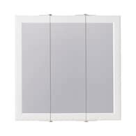 Single Medicine Cabinets Without Mirror at Lowes.com