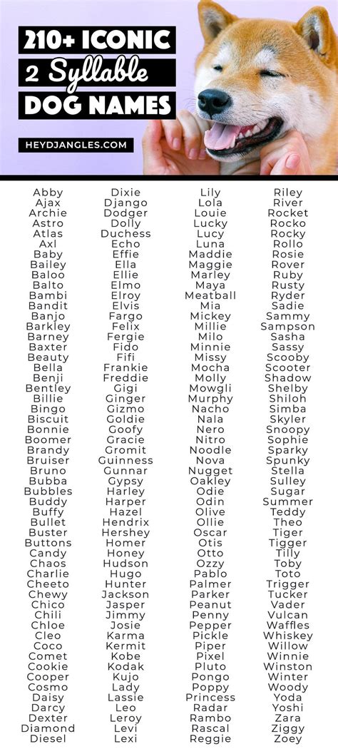210+ Iconic 2-Syllable Dog Names - Hey, Djangles. | Dog names, Puppy ...
