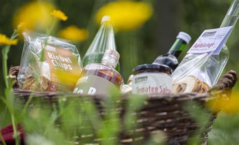 Bodensee Vorarlberg Tourismus | Urlaub am Bodensee, Vorarlberg