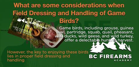 Field Dressing Birds 的图像结果