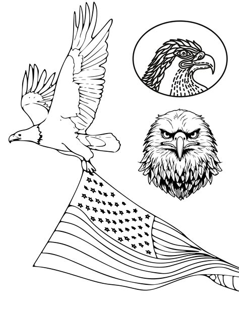 Free Bald Eagle Coloring Pages for Kids and Adults