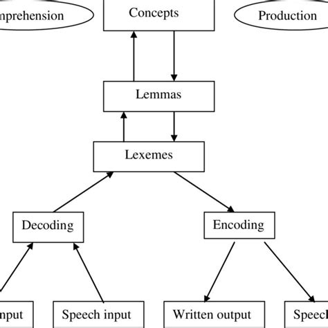 Image result for Lexical Comprehension Examples