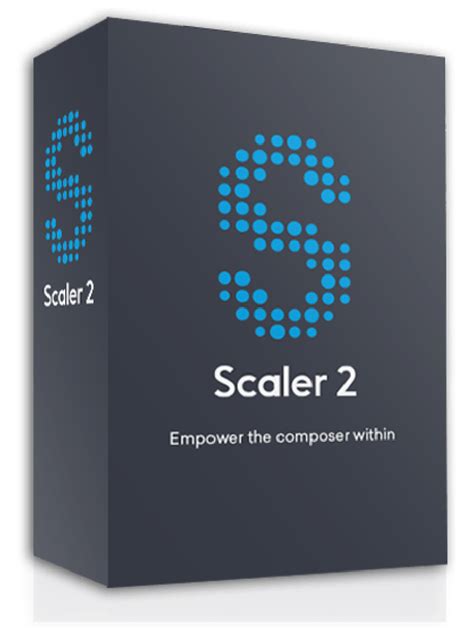 Scaler 2.9 Tutorial 的图像结果