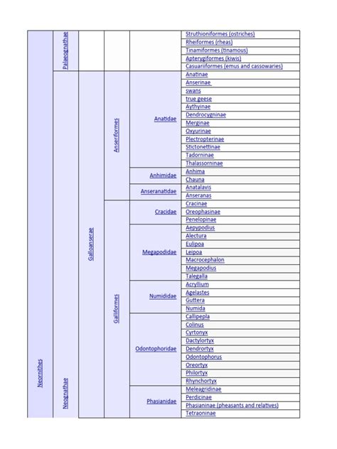 Image result for Classification Key for Birds