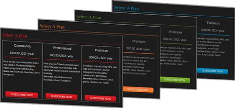 Color your PayPlans with mesmerizing Themes | Ready Bytes