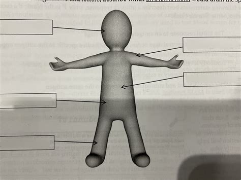 Image result for Lymphatic Trunks Model