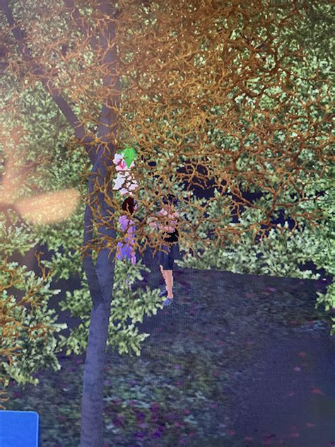 Image result for Sims 3 Disc