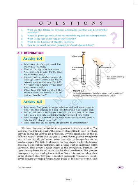 Chapter Life Processes Class 10 Shubham Pathak 的图像结果