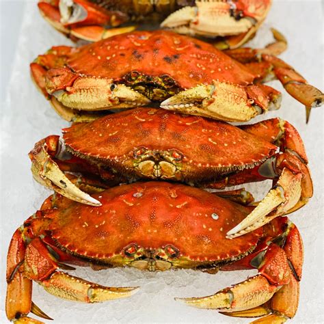 Whole Dungeness Crab - Highland Fish Market