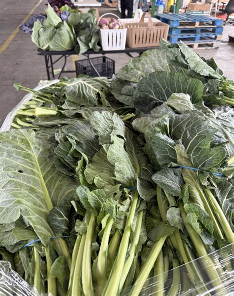 South Carolina Agriculture 的图像结果