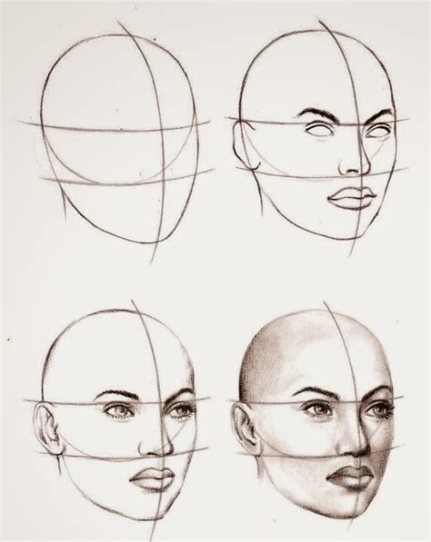 Image result for Face Structure Drawing