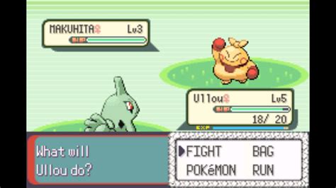 I am currwntly doing a Pokémon nuzlocke challenge on Randomized Emerald ...