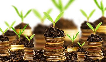 JANAASHA TN NIDHI LIMITED Provide Secured Loan, Gold Loan, Daily ...