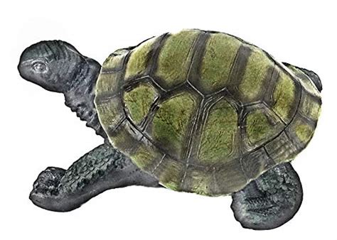 Watch Bellaa 26768 Outdoor Garden Turtle Statues 15 inch on Amazon Live