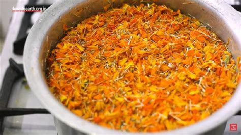 College Students Recycle Flower Waste into Organic Dyes, Help Destitute ...