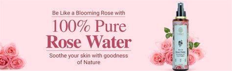 NATURAL ROSE WATER FACE & BODY MIST STEAM DISTILLED- 200 ML : Amazon.in ...