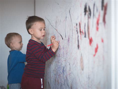 Image result for Behavior Redirection