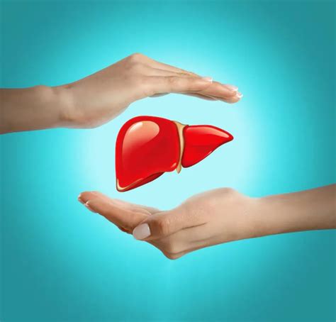 Liver Ultrasound Scan - Insight Health Services Ltd, Walsall