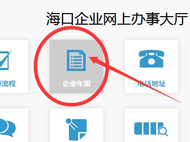 代办个体户营业执成都_海南省海口市营业执代办营业执照 - 随意贴