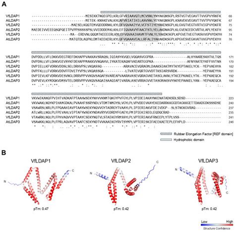 Identification and Characterization of Lipid Droplet-Associated Protein ...