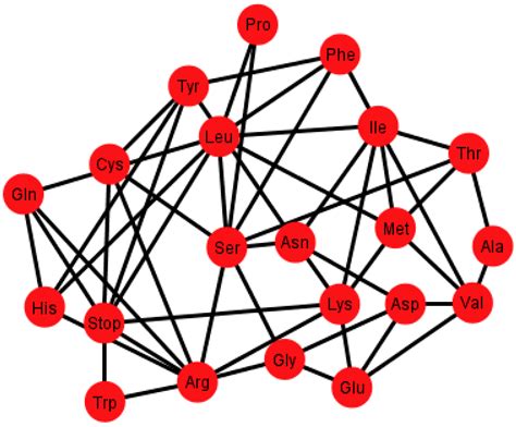 Three-Dimensional Algebraic Models of the tRNA Code and 12 Graphs for ...