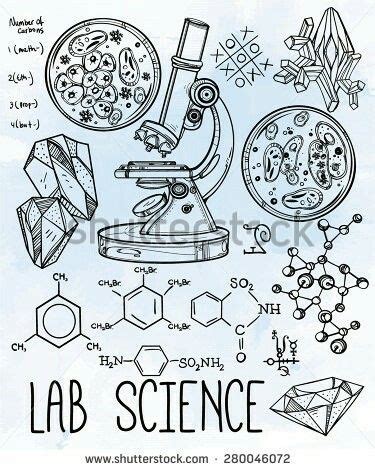 Biotechnology Art Projects 的图像结果