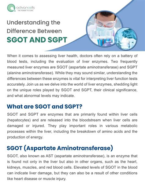 PPT - Understanding the Difference Between SGOT and SGPT PowerPoint Presentation - ID:12262221