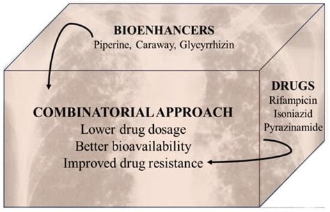Role of Natural Phytoconstituents as a Potential Bioenhancer of Anti ...
