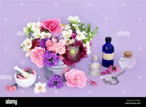 Natural Herbal Medicine 的图像结果