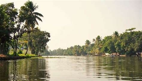 Choose The Backwaters Of Alleppey For A Blissful Honeymoon In 2025!