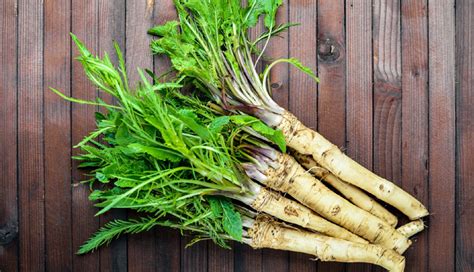 16 Remedies Effective for Dysuria - lifeberrys.com