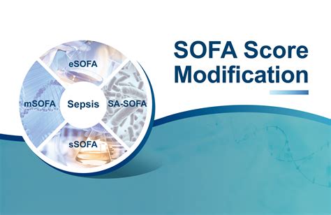 Application Prospect of the SOFA Score and Related Modification ...