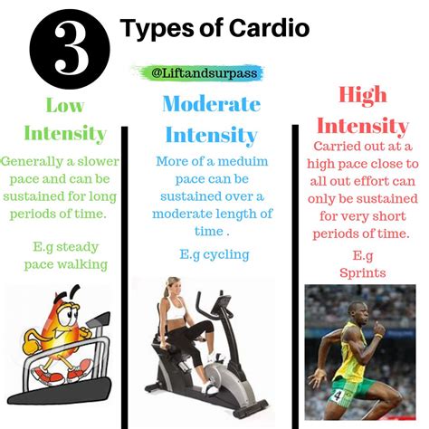 Different Types of Cardio Exercises 的图像结果