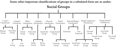 Social Groups