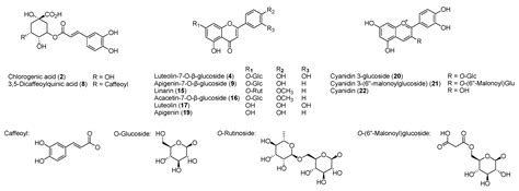 Phytochemical Composition and Antioxidant Activities of Two Different ...