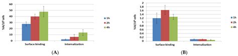 Exploring the Therapeutic Potential of 177Lu-PSMA-617 in a Mouse Model ...