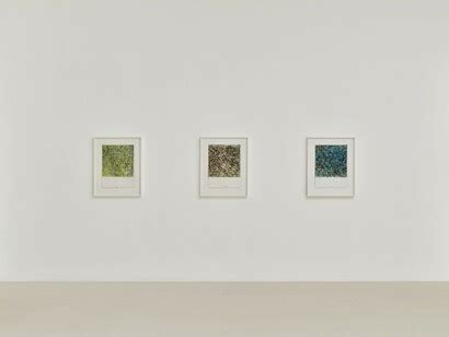 Brice Marden: works on paper | Meer