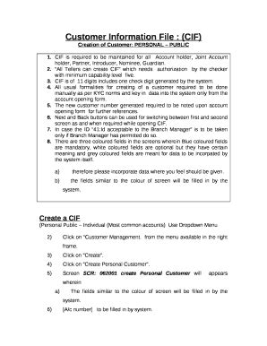 Customer Information File 的图像结果